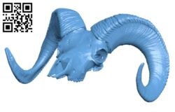 Sheep specimen – adult male H000416 file stl free download 3D Model for CNC and 3d printer