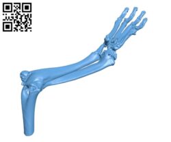 Front leg of a dog H000728 file stl free download 3D Model for CNC and 3d printer
