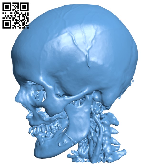 Head H000704 file stl free download 3D Model for CNC and 3d printer