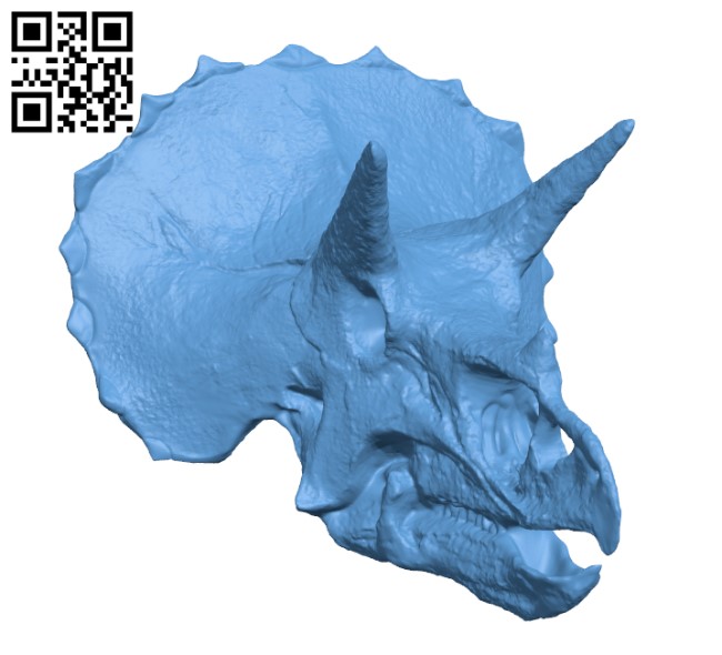Triceratops Skull in Colorado, USA H000689 file stl free download 3D Model for CNC and 3d printer