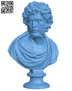 Bust of a Philosopher or Barbarian H001630 file stl free download 3D Model for CNC and 3d printer
