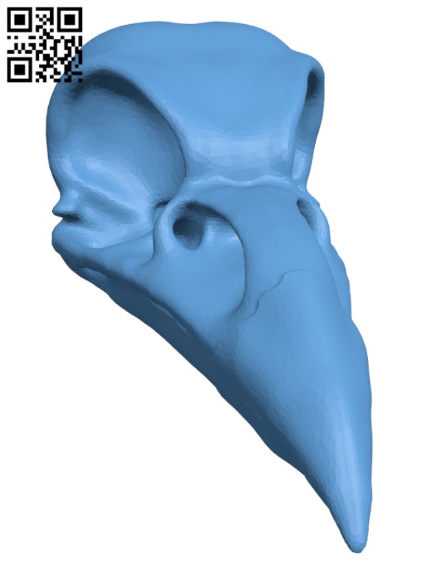 Crow's Skull H001982 file stl free download 3D Model for CNC and 3d printer