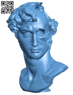 David’s Cranium H001643 file stl free download 3D Model for CNC and 3d printer