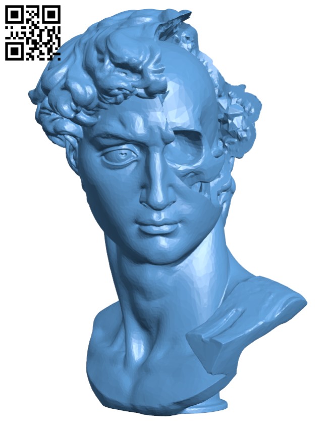 David's Cranium H001643 file stl free download 3D Model for CNC and 3d printer