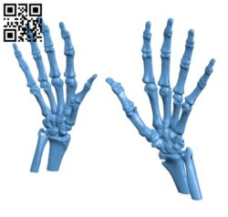 Hand bones H002051 file stl free download 3D Model for CNC and 3d printer