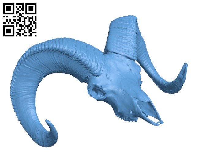 California Bighorn Sheep specimen - adult male H002426 file stl free download 3D Model for CNC and 3d printer
