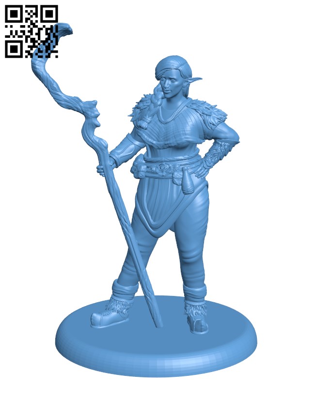 Firbolg Druid H002725 file stl free download 3D Model for CNC and 3d printer