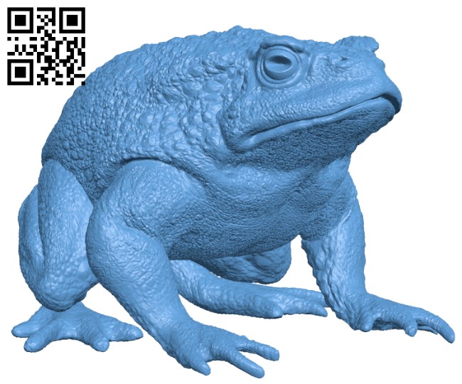 Realistic toad H002520 file stl free download 3D Model for CNC and 3d printer