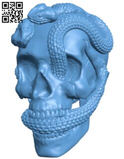 Skull snakes H003128 file stl free download 3D Model for CNC and 3d printer
