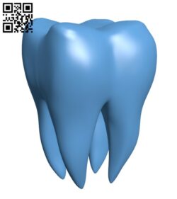 Tooth H003046 file stl free download 3D Model for CNC and 3d printer