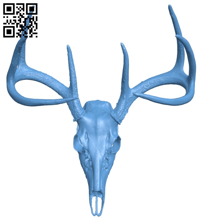 Deer Skull H003873 file stl free download 3D Model for CNC and 3d printer