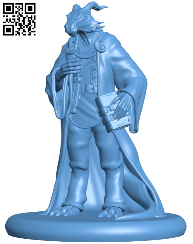 Dragonborn scholar H003336 file stl free download 3D Model for CNC and 3d printer