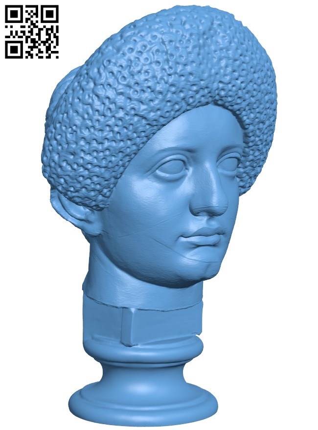 Flavian Woman, Young Giulia H004001 file stl free download 3D Model for CNC and 3d printer