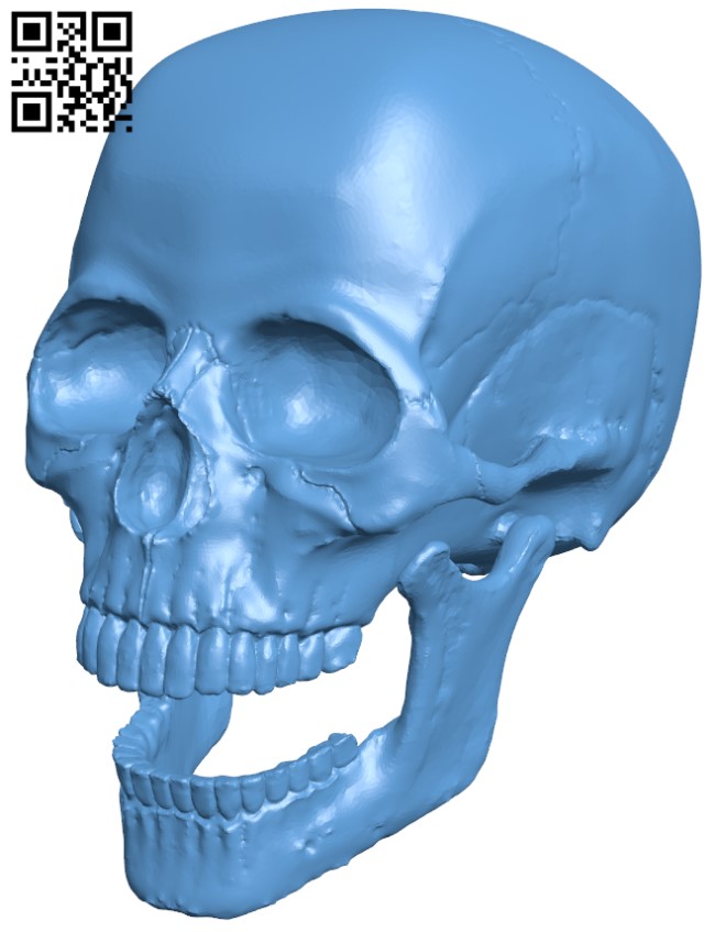 Human Skull H003766 file stl free download 3D Model for CNC and 3d printer