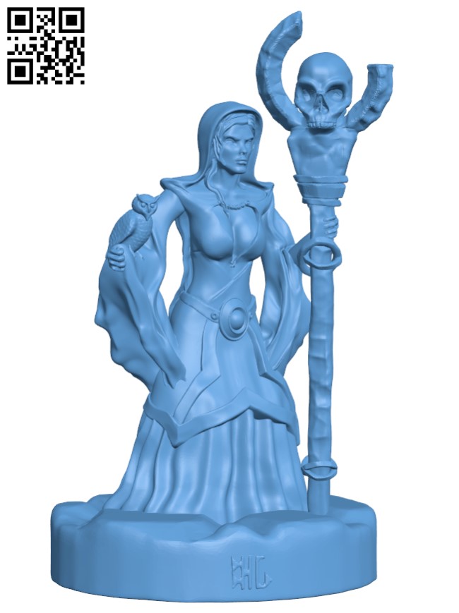 Mage with Owl H003303 file stl free download 3D Model for CNC and 3d printer