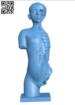 Model of torso and head H003520 file stl free download 3D Model for CNC and 3d printer