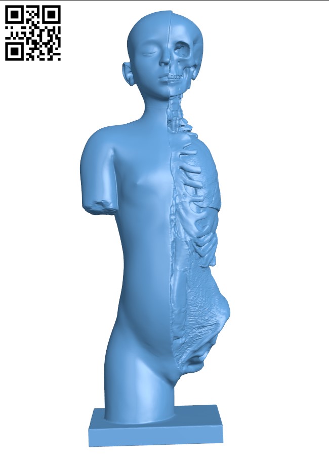 Model of torso and head H003520 file stl free download 3D Model for CNC and 3d printer