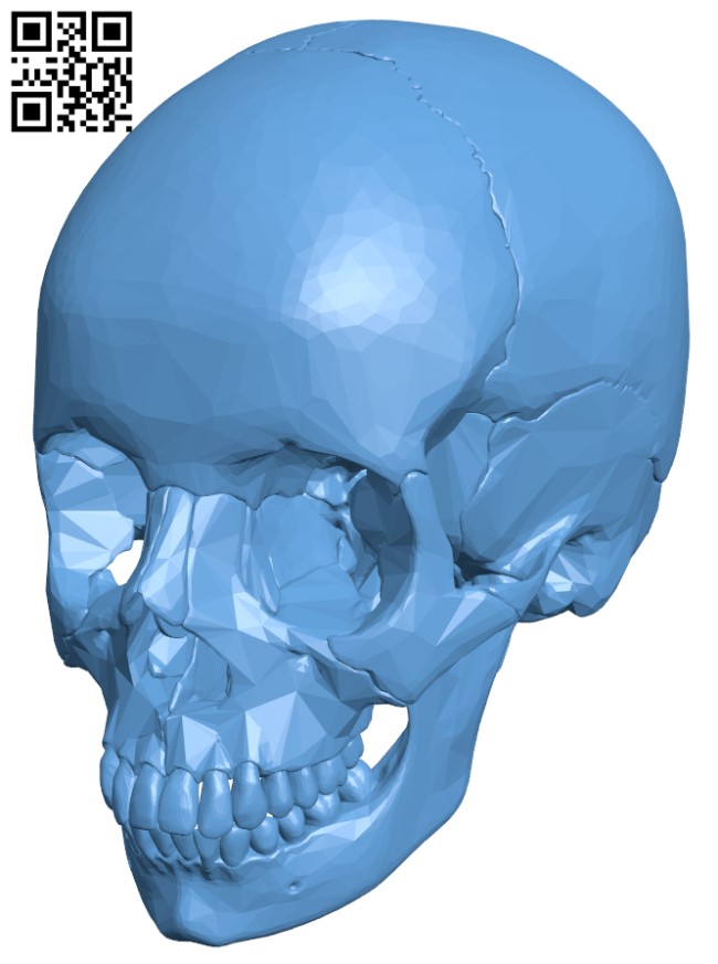 Skull H003850 file stl free download 3D Model for CNC and 3d printer