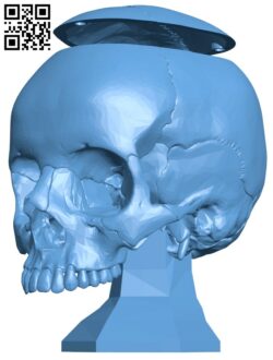 Skull Lamp H003486 file stl free download 3D Model for CNC and 3d printer