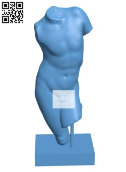 Torso of a youth H003532 file stl free download 3D Model for CNC and 3d printer