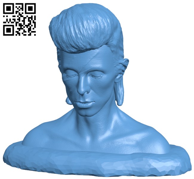 David Bowie bust H004682 file stl free download 3D Model for CNC and 3d printer