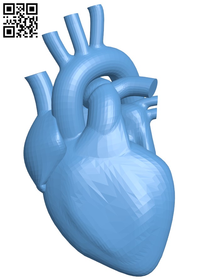 Human Heart H004831 file stl free download 3D Model for CNC and 3d printer