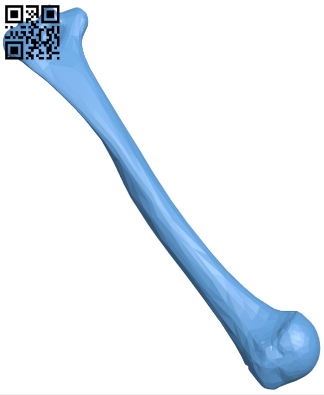 Humerus Bone H004210 file stl free download 3D Model for CNC and 3d printer