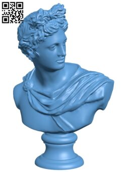 Bust of The Apollo Belvedere