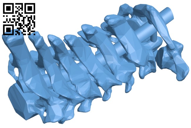 Cervical Vertebrae H004861 file stl free download 3D Model for CNC and 3d printer