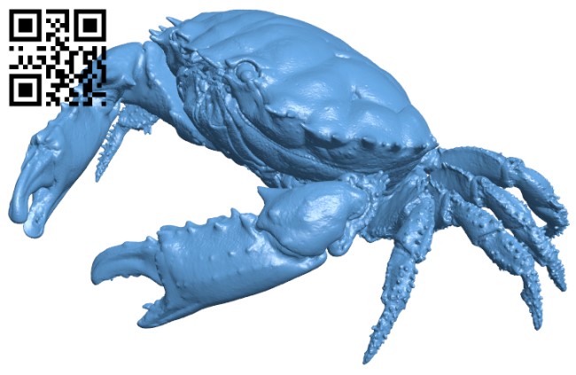Dark Finger Reef Crab H004990 file stl free download 3D Model for CNC and 3d printer