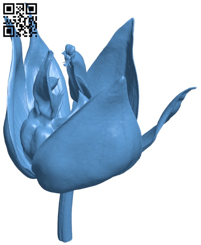 Embreea Orchid H005399 file stl free download 3D Model for CNC and 3d printer