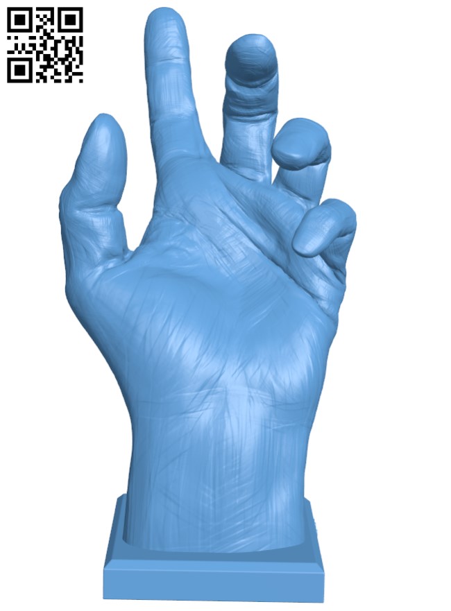 Hand Anatomy H005476 file stl free download 3D Model for CNC and 3d printer