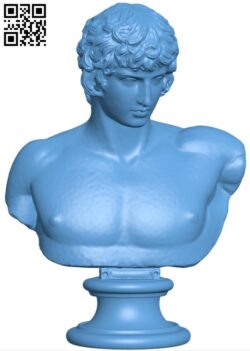 Portrait of Antinous H005501 file stl free download 3D Model for CNC and 3d printer