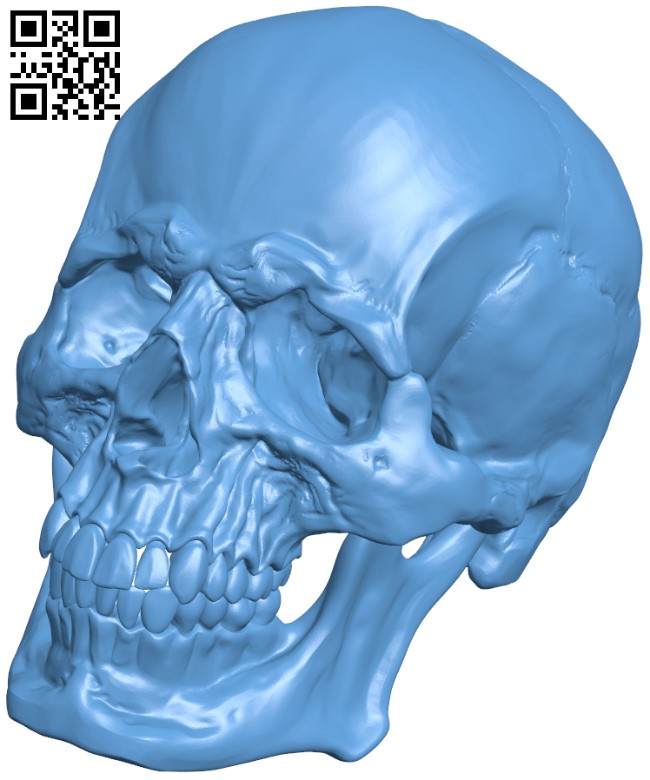 Skull H005109 file stl free download 3D Model for CNC and 3d printer