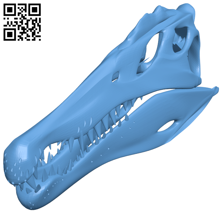 Amateur Spinosaurus Skull H005749 file stl free download 3D Model for CNC and 3d printer
