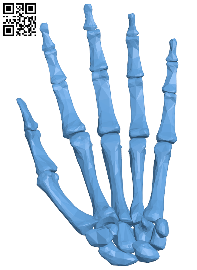 Bone hand left H005988 file stl free download 3D Model for CNC and 3d printer