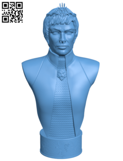 Cersei Lannister – Game of Thrones H005760 file stl free download 3D Model for CNC and 3d printer
