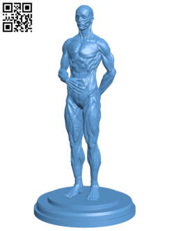 Human muscle reference H005829 file stl free download 3D Model for CNC and 3d printer