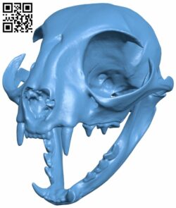 Domestic cat skull H007419 file stl free download 3D Model for CNC and 3d printer
