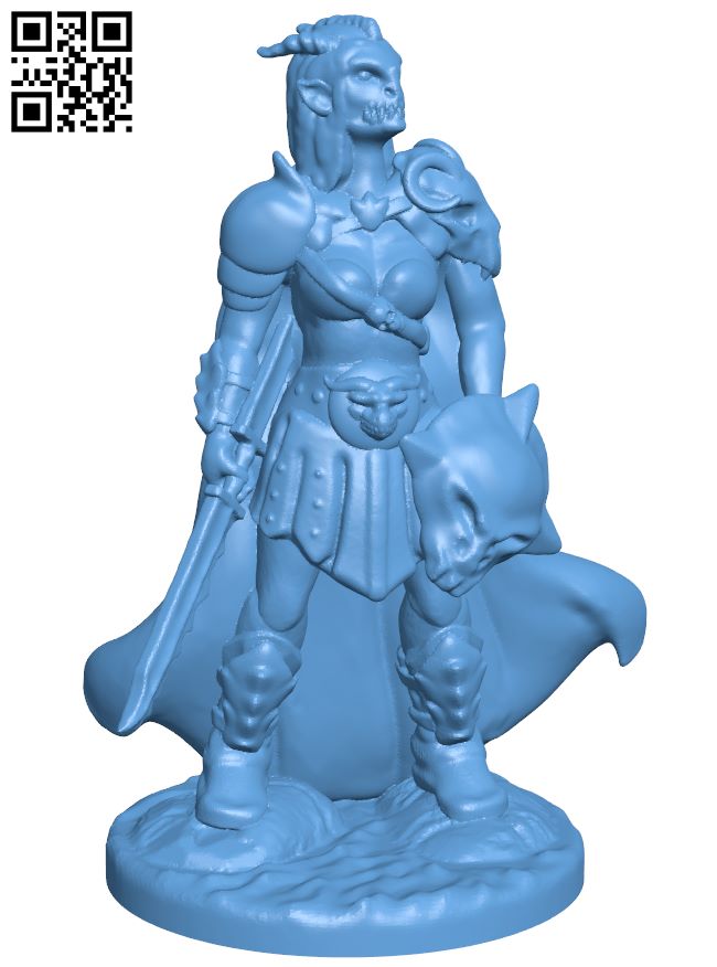 Gloomhaven Monster - Inox Guard H006949 file stl free download 3D Model for CNC and 3d printer
