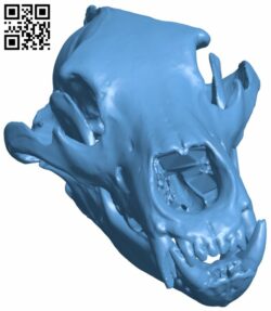 Grizzly bear skull H007426 file stl free download 3D Model for CNC and 3d printer