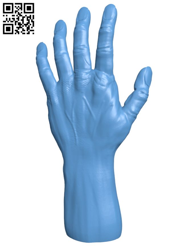 Hand sculpture H007271 file stl free download 3D Model for CNC and 3d printer