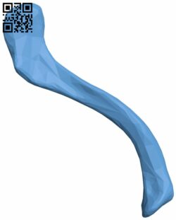 Human collarbone H006962 file stl free download 3D Model for CNC and 3d printer