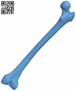 Human femur H006963 file stl free download 3D Model for CNC and 3d printer