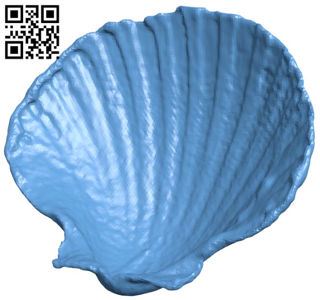 Sea Shell H007488 file stl free download 3D Model for CNC and 3d printer
