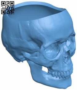 Skull Plant Pot H007389 file stl free download 3D Model for CNC and 3d printer