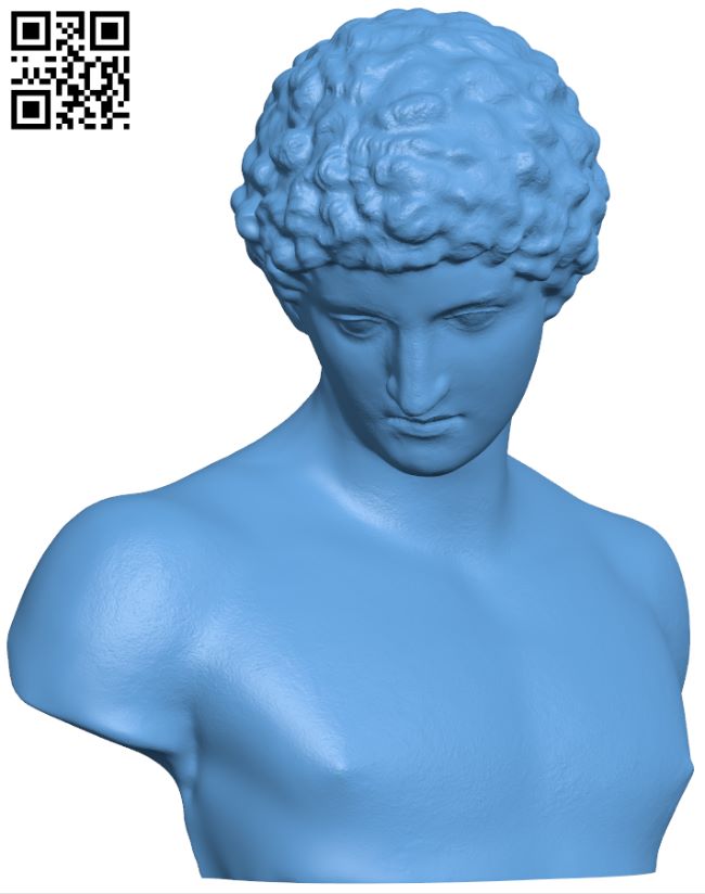 Capitoline Antinous bust H008196 file stl free download 3D Model for CNC and 3d printer