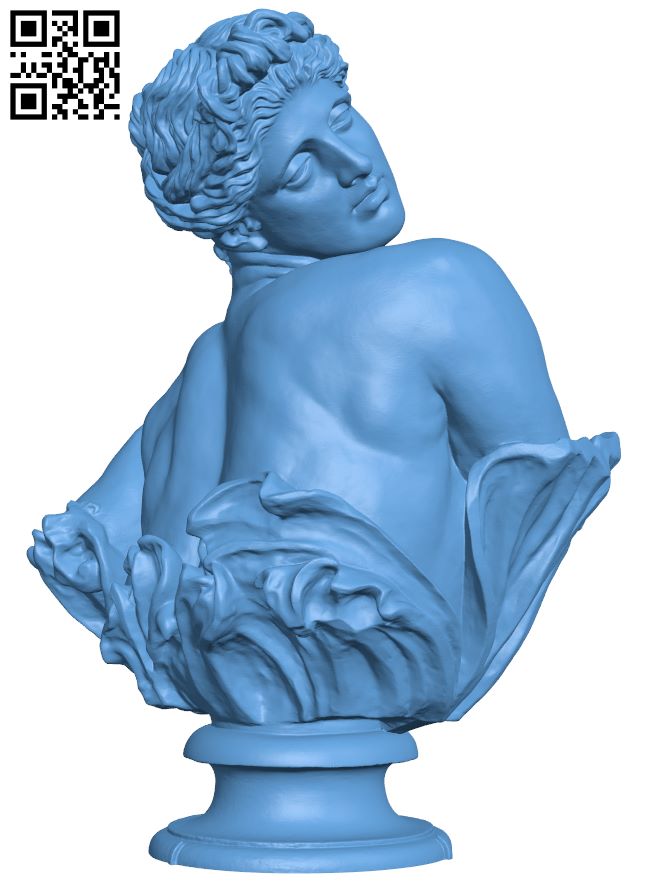 Clytie bustH008431 file stl free download 3D Model for CNC and 3d printer