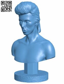 David Bowie Bust H007558 file stl free download 3D Model for CNC and 3d printer