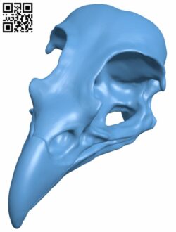 Eagle skull H007620 file stl free download 3D Model for CNC and 3d printer